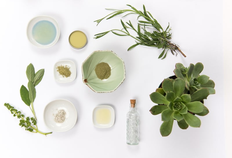 Holistic Wellness