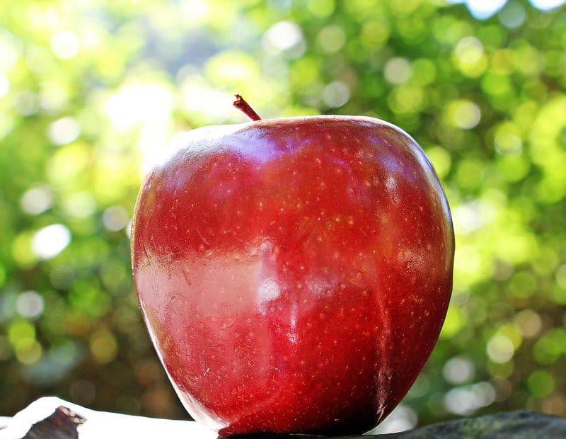 Nourishing Nutrition