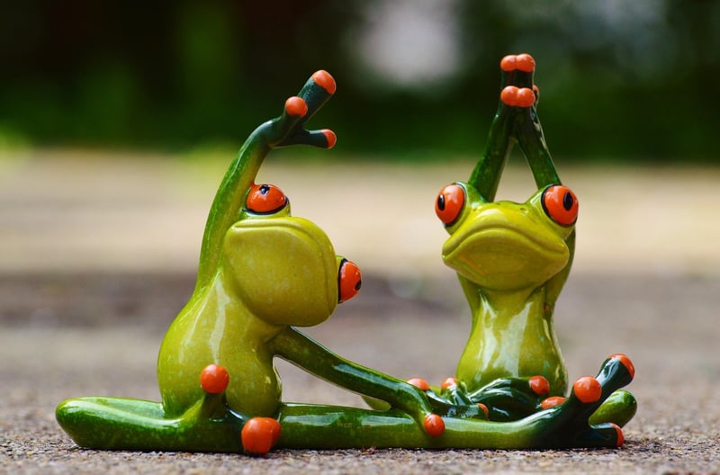 Movement and Exercise